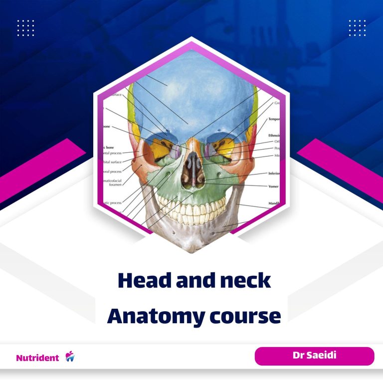 Head and neck anatomy course - Nutrident