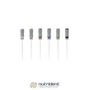 Fanta H File (Assorted- 6pcs)